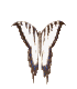 Acceuil
